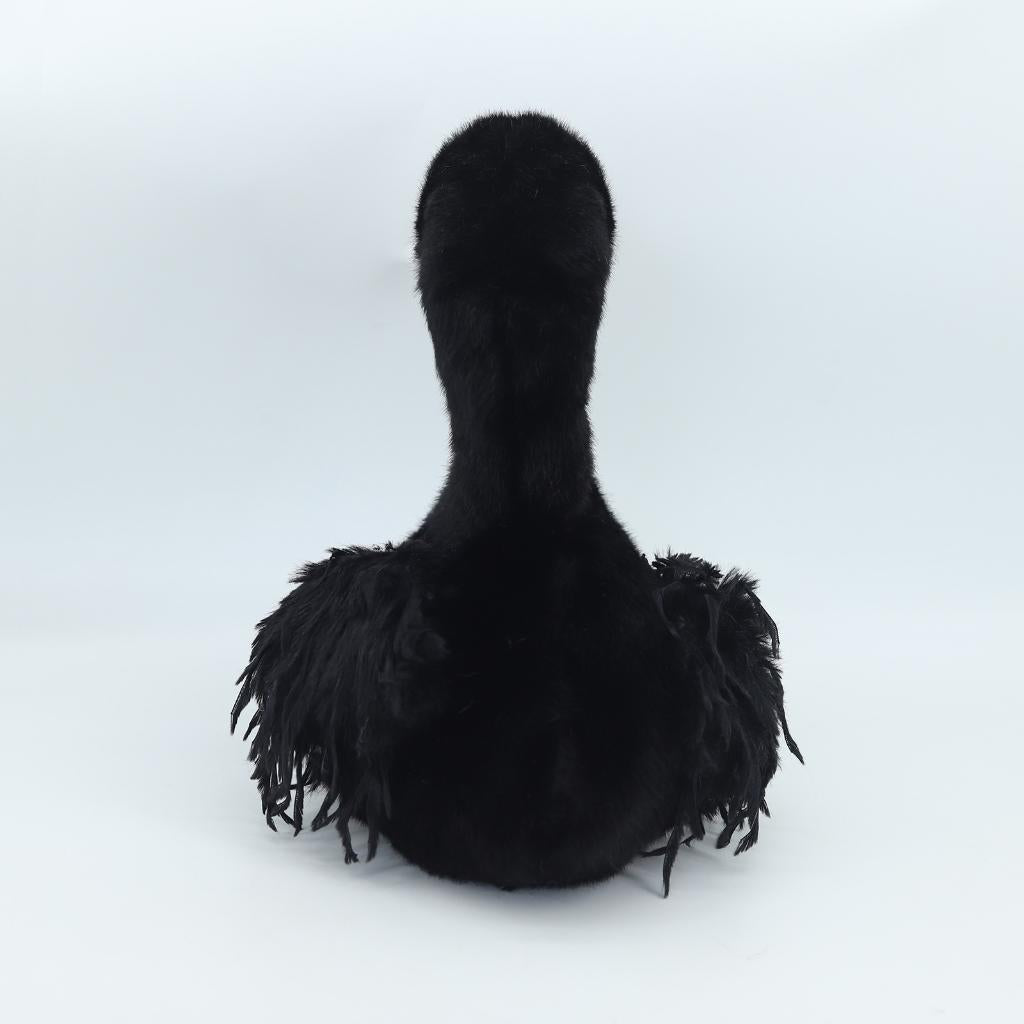Midnight Grace Black Swan