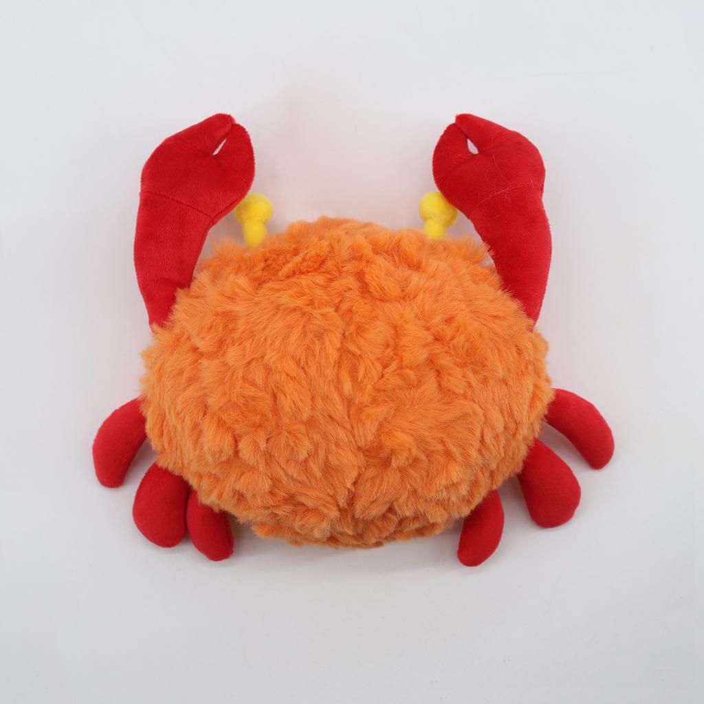 Sunny Shore Crab