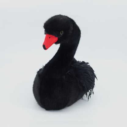 Midnight Grace Black Swan